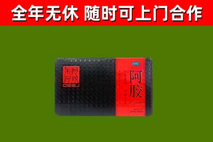 名山区回收阿胶