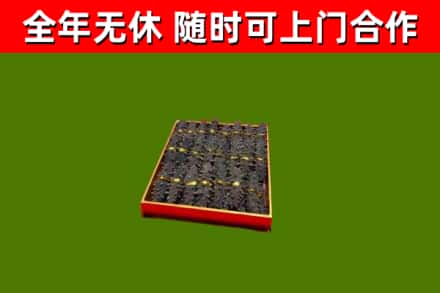 名山区回收海参